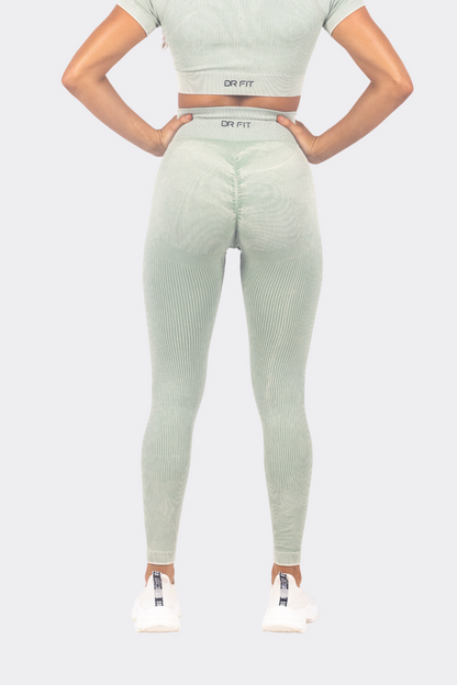 Turtle Olive Leggings